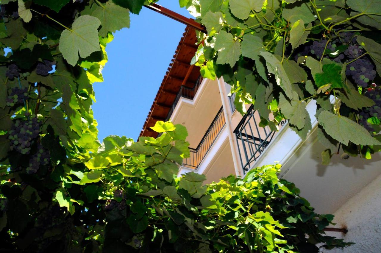 Boutique Hotel Parnassia Arachova Ngoại thất bức ảnh